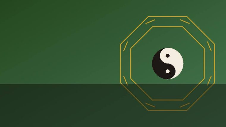 Cây cảnh chiêu tài theo ngũ hành: chọn đúng cây cho bản mệnh