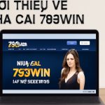 Nhà cái 789win – Nền tảng cá cược trực tuyến uy tín và an toàn